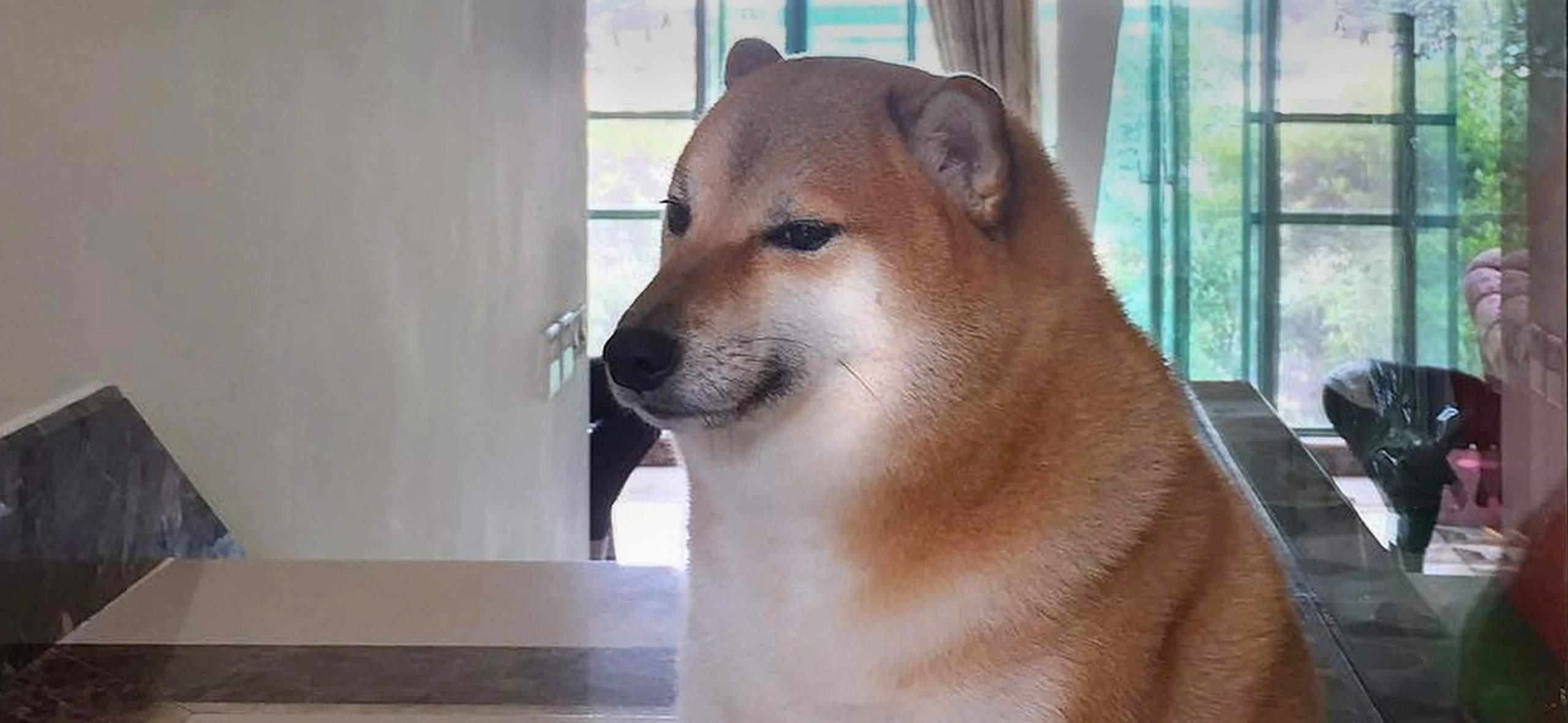 рисунок на странице