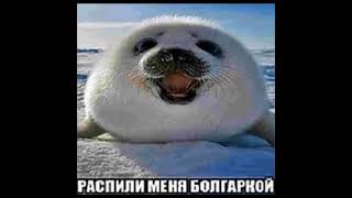 рисунок на странице